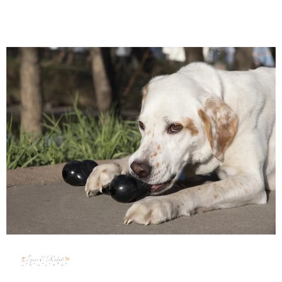 KONG Extreme Goodie Bone Gumi Csont Kutyajáték L