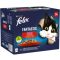 Felix Fantastic alutasak Multipack Házias válogatás 24x85g