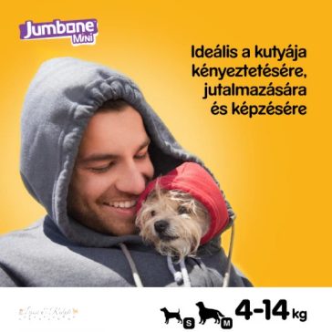 Pedigree Jumbone mini 180g marha