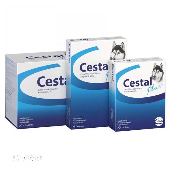 Cestal Plus rágótabletta 200x