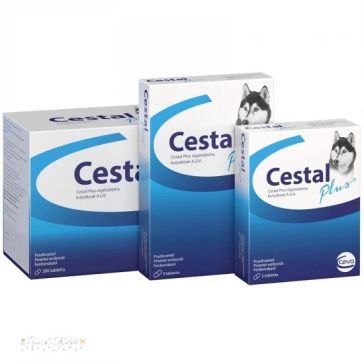 Cestal Plus rágótabletta 2x