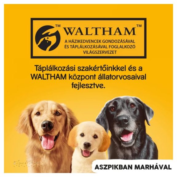 Pedigree Konzerv Marha 400g