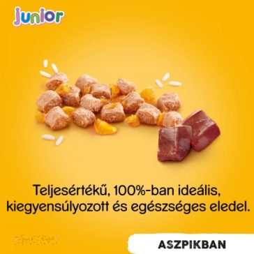 Pedigree Konzerv Junior Csirke 400g