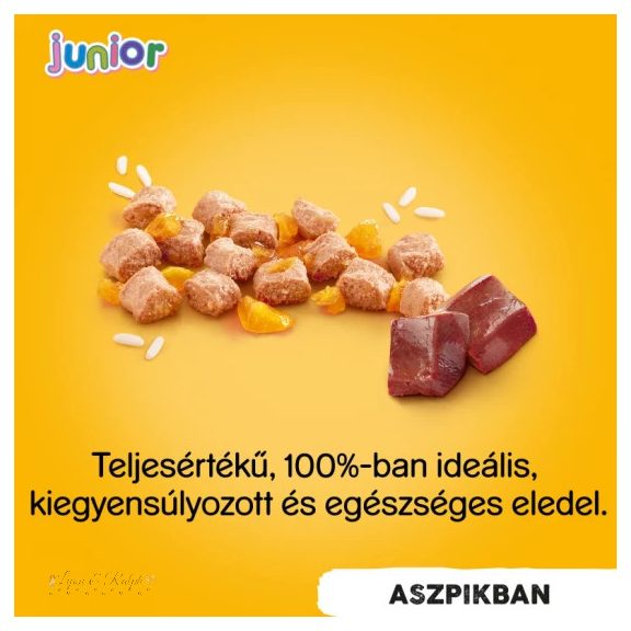 Pedigree Konzerv Junior Csirke 400g