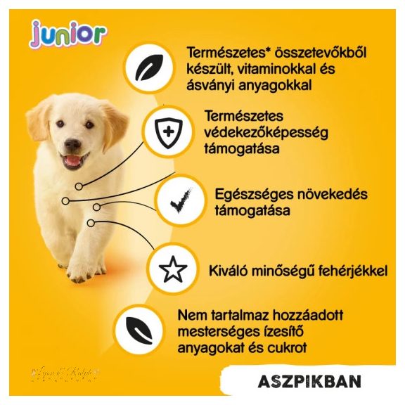 Pedigree Konzerv Junior Csirke 400g
