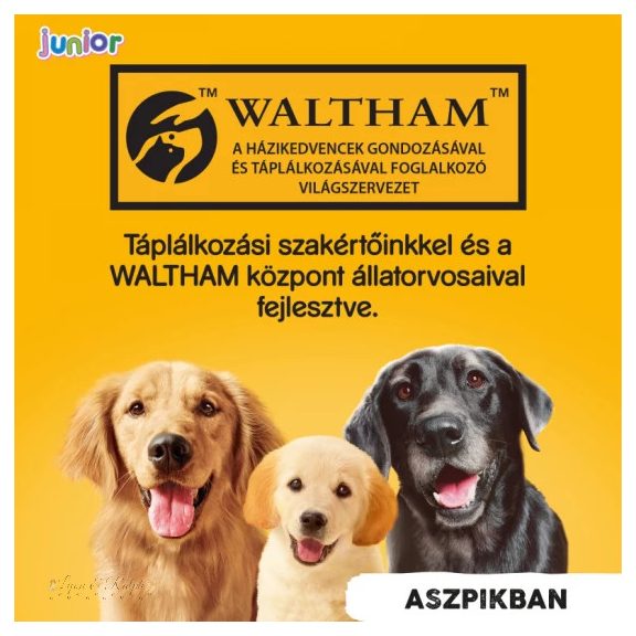 Pedigree Konzerv Junior Csirke 400g