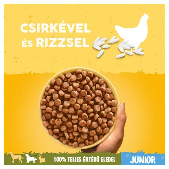 Pedigree Száraz Junior Baromfi 3kg