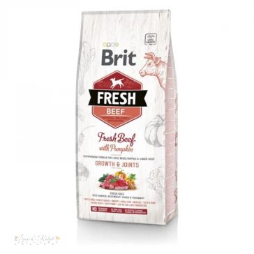 Brit Fresh Beef with Pumpkin Puppy Large kutyatáp 12 kg