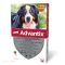 Advantix 600 6 ml 40-60 kg 24x