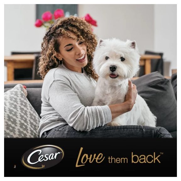 Cesar alutasak Multipack válogatás mártásban 4x100g