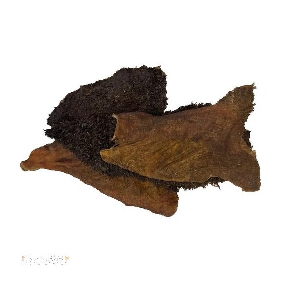 Dog Vital Szárított marha zöld gyomor 100g
