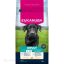 Eukanuba Adult Large kutyatáp 3kg