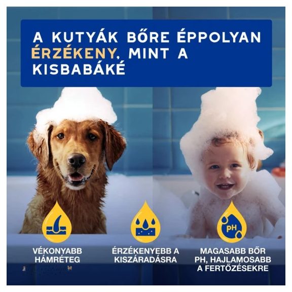 Douxo Spa Hidratáló sampon kutyáknak 250ml