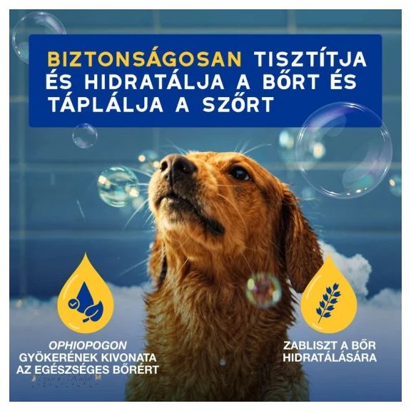 Douxo Spa Hidratáló sampon kutyáknak 250ml