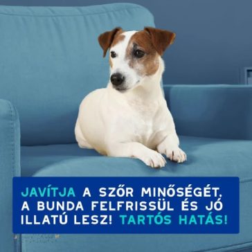 Douxo Spa Szagsemlegesítő sampon kutyáknak  250ml