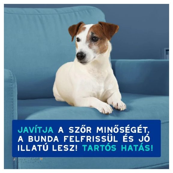 Douxo Spa Szagsemlegesítő sampon kutyáknak  250ml