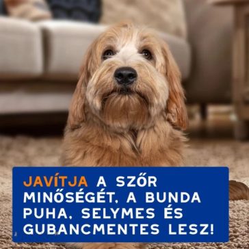 Douxo Spa 2 az 1-ben gubancoldó sampon kutyáknak 250ml