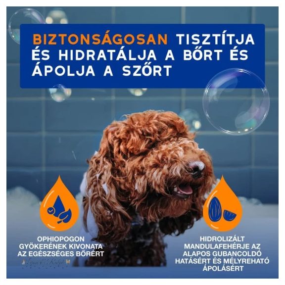 Douxo Spa 2 az 1-ben gubancoldó sampon kutyáknak 250ml