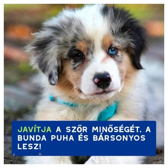 DOUXO® Skin & Coat SPA, Extra kímélo sampon, kölyökkutyáknak 250 ml