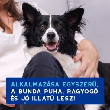   Douxo Spa Lemosást nem igénylő frissítő hab kutyáknak 150ml