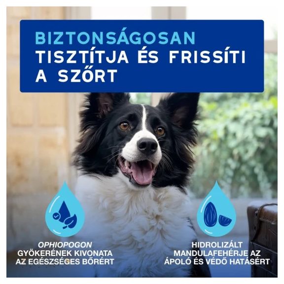 Douxo Spa Lemosást nem igénylő frissítő hab kutyáknak 150ml