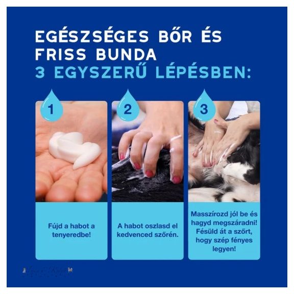 Douxo Spa Lemosást nem igénylő frissítő hab kutyáknak 150ml