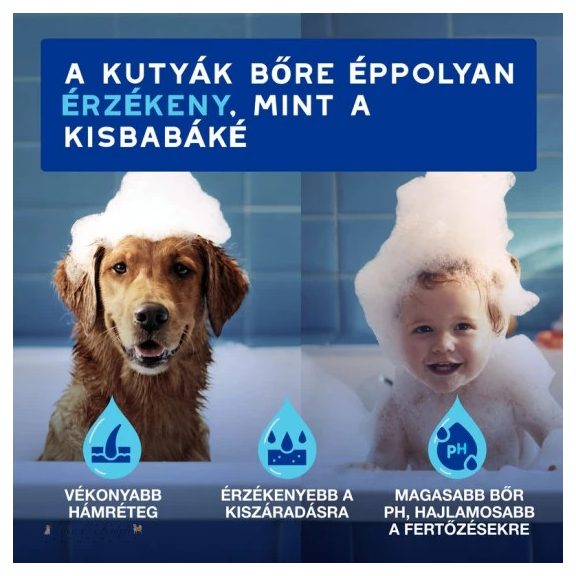 Douxo Spa Lemosást nem igénylő frissítő hab kutyáknak 150ml