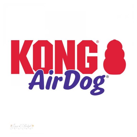 KONG Játék Holiday AirDog® Fánk M