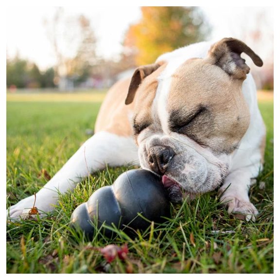 KONG Extrém Harang Fekete Kutyajáték L