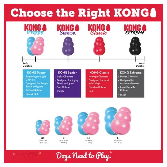 KONG Puppy játék Kölyökkutyáknak M