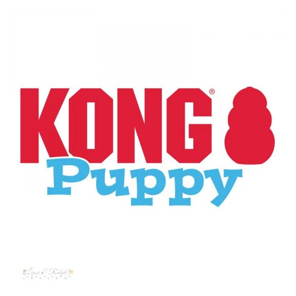KONG Puppy játék Kölyökkutyáknak M