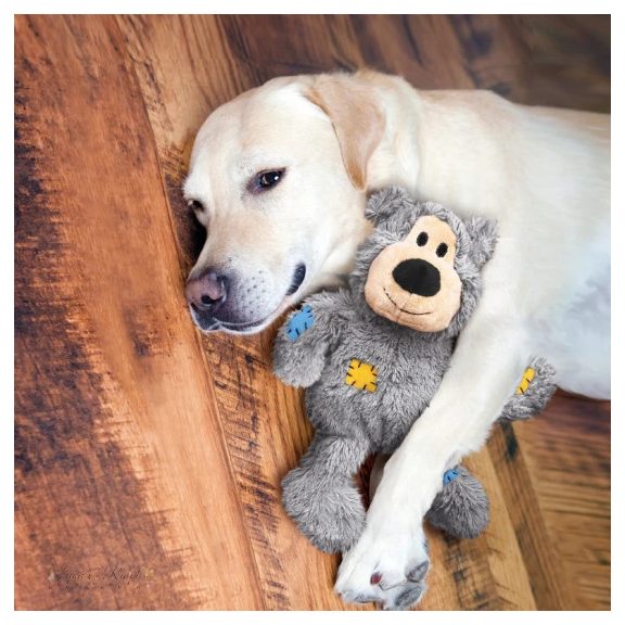 KONG Wildknots Medve Kutyajáték XL