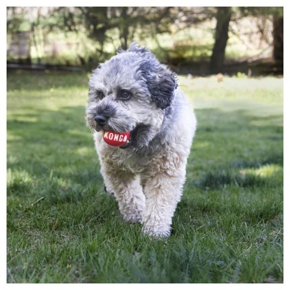 KONG Feliratos Labda Kutyajáték (2db/cs) M