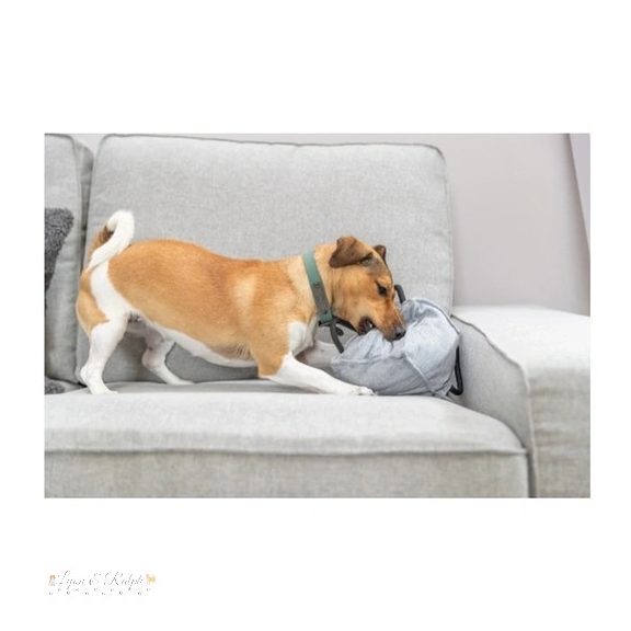 Trixie Nyakörv Citystyle PVC M 35-42cm/20mm zsálya