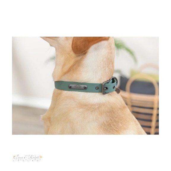 Trixie Nyakörv Citystyle PVC M 35-42cm/20mm zsálya
