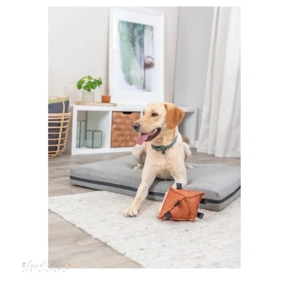 Trixie Nyakörv Citystyle PVC M 35-42cm/20mm zsálya
