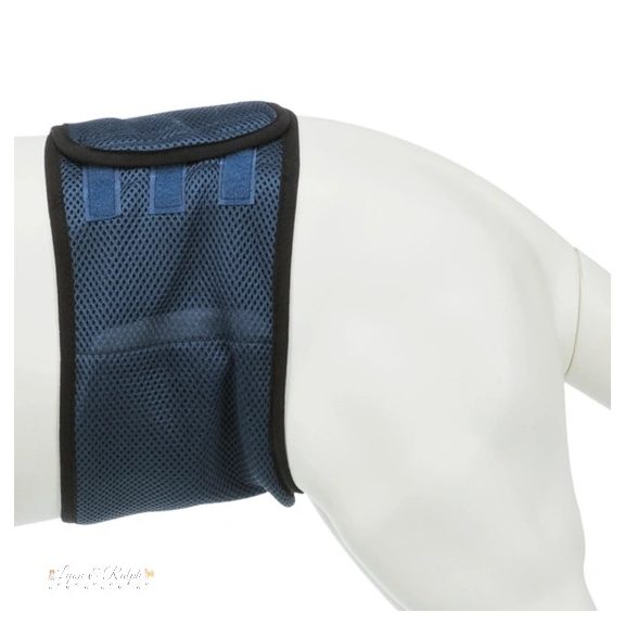 Trixie Pelenka fiú kutyáknak S 29-37cm kék