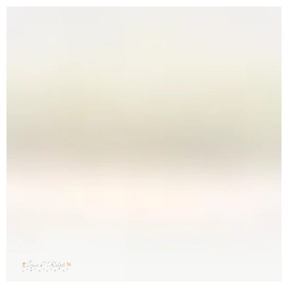 Trixie Kullancskiszedő Műanyag 11cm