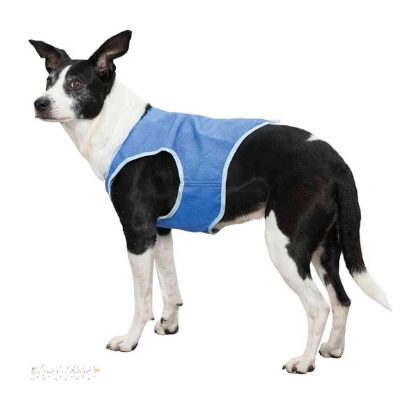 Trixie Hűtő Mellény XS 20cm kék