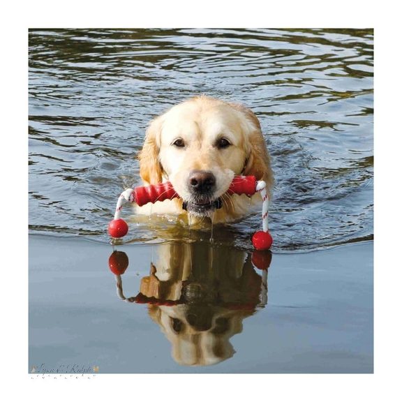 Trixie Játék Dog Activity Apportrúd Kötéllel 20cm/42cm