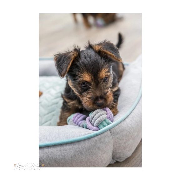 Trixie Játék súlyzó kötélből 15cm