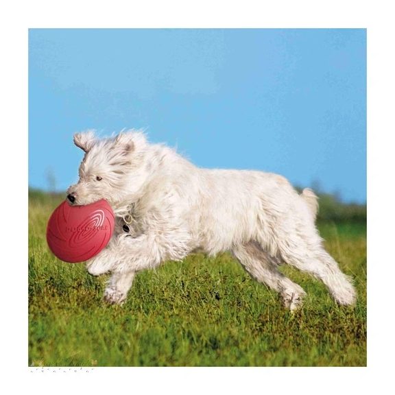 Trixie Játék Gumi Dog Disc Úszó 24cm