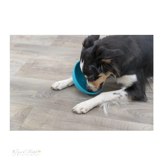 Trixie Lick'n'Snack Matt Szilikon tál, 16cm, kék