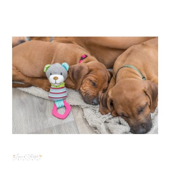 Trixie Játék Junior Szövet Medve Karikával 23cm