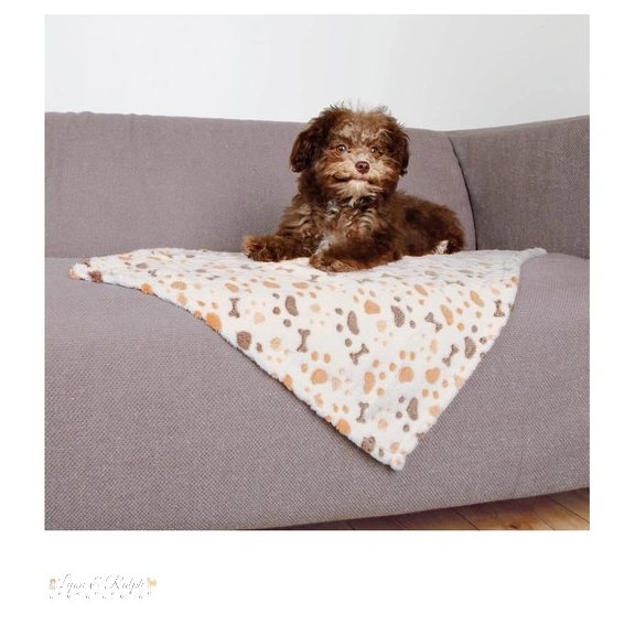 Trixie Pléd Lingo 75x50cm fehér/bézs