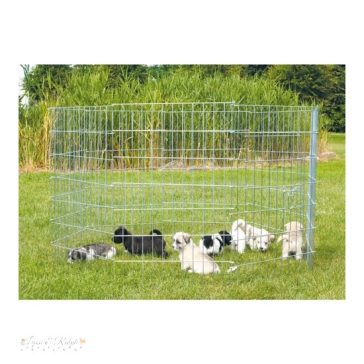 Trixie Puppy ketrec galvanizált 154x91cm