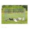 Trixie Puppy ketrec galvanizált 154x91cm