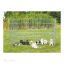 Trixie Puppy ketrec galvanizált 154x91cm