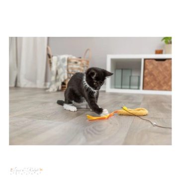 Trixie Játék macskapálca műanyag/plüss 40cm