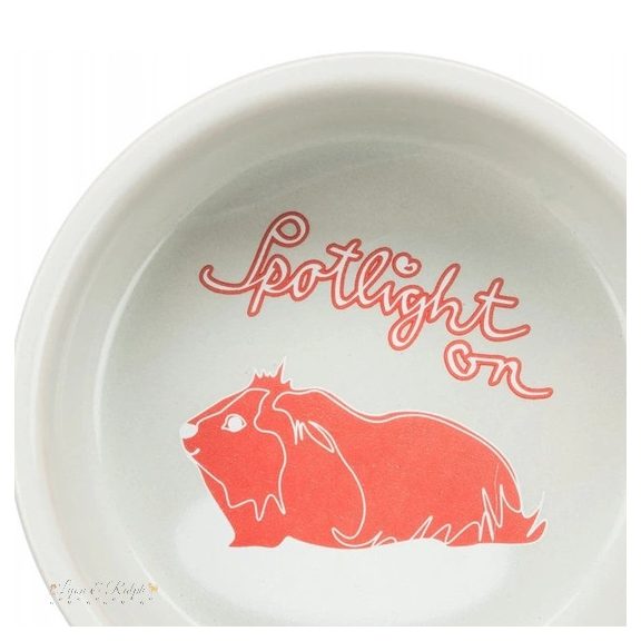 Trixie Tál Kerámia Tengerimalac Mintás, 250ml/o 11cm